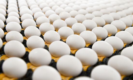 Russia Agriculture Poultry Farming