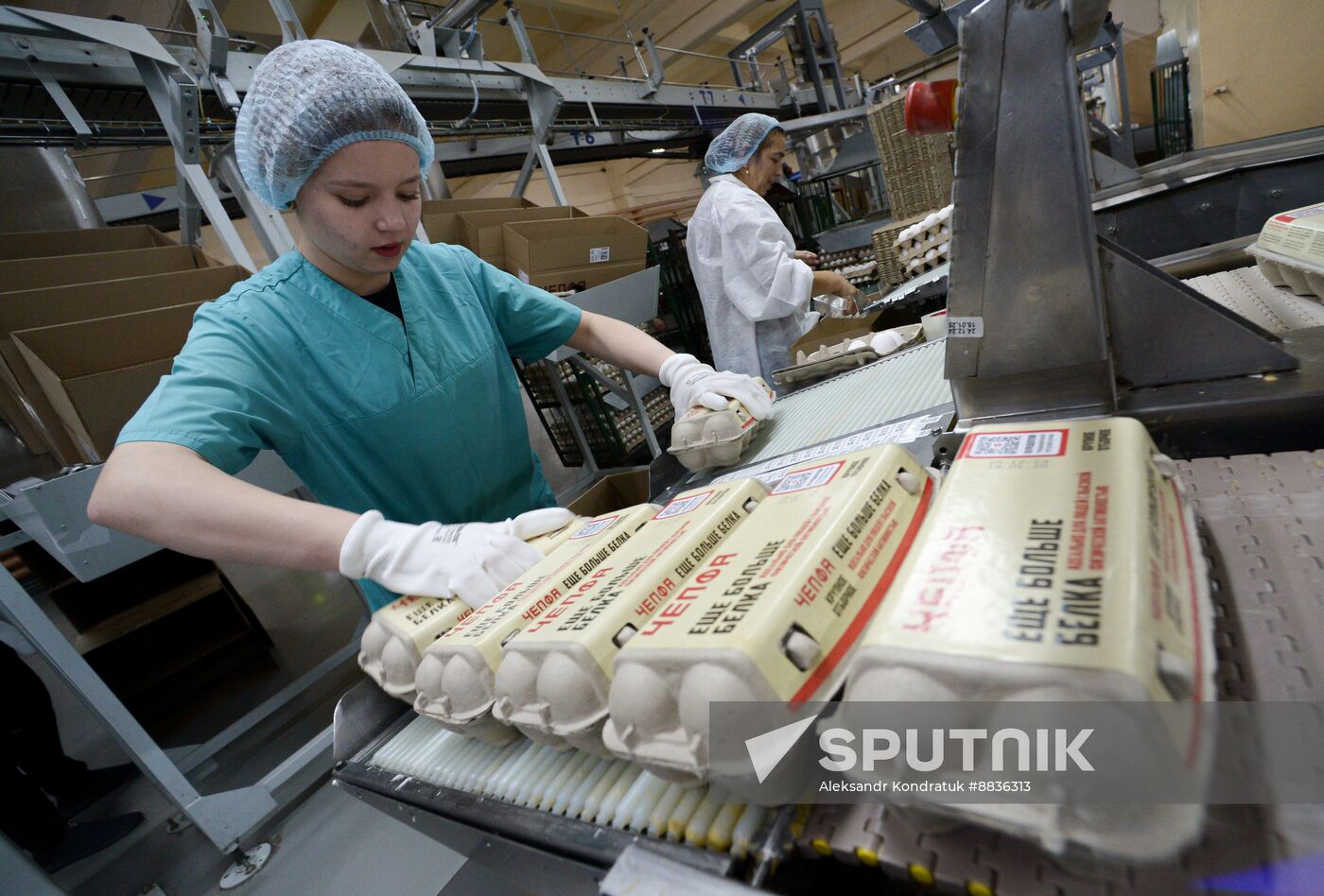 Russia Agriculture Poultry Farming