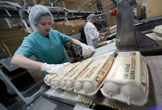 Russia Agriculture Poultry Farming