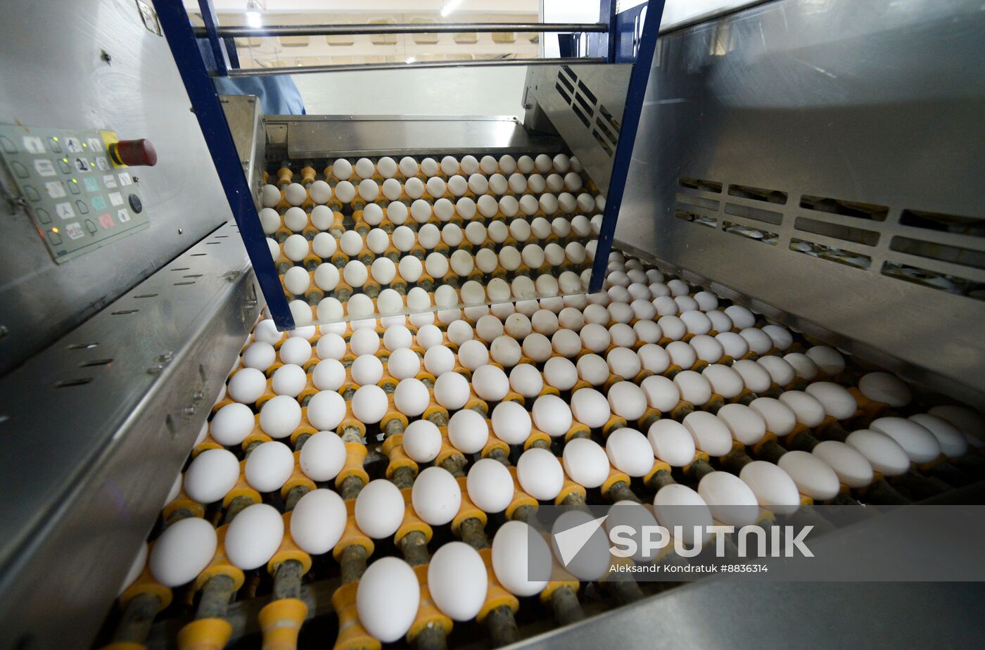 Russia Agriculture Poultry Farming