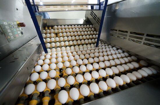 Russia Agriculture Poultry Farming