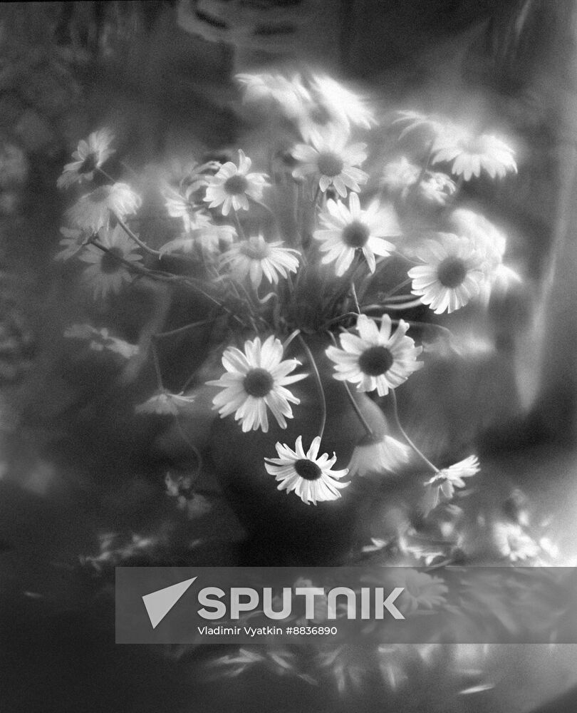 Still life with flowers from Vladimir Vyatkin's series Mood of Flowers