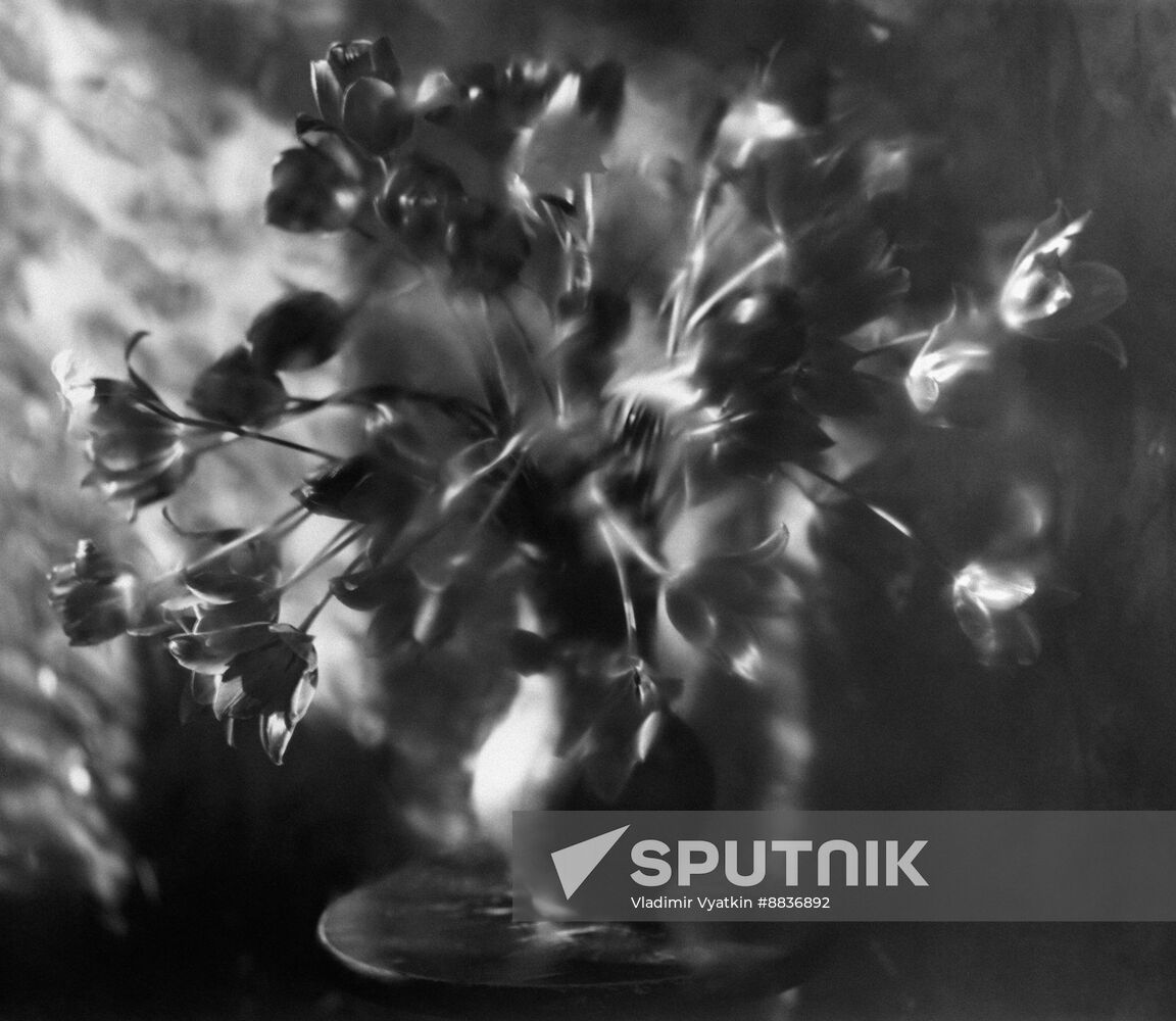 Still life with flowers from Vladimir Vyatkin's series Mood of Flowers