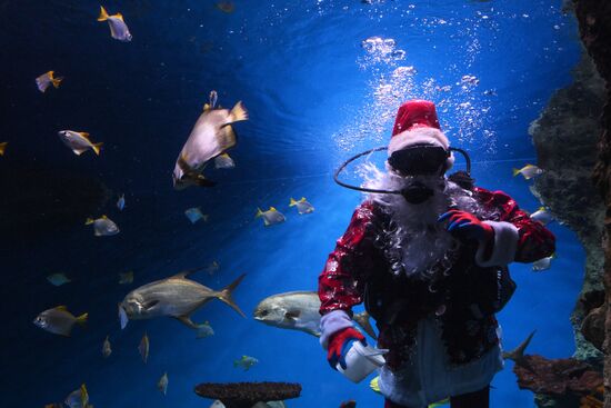 Russia New Year Season Santa Diver