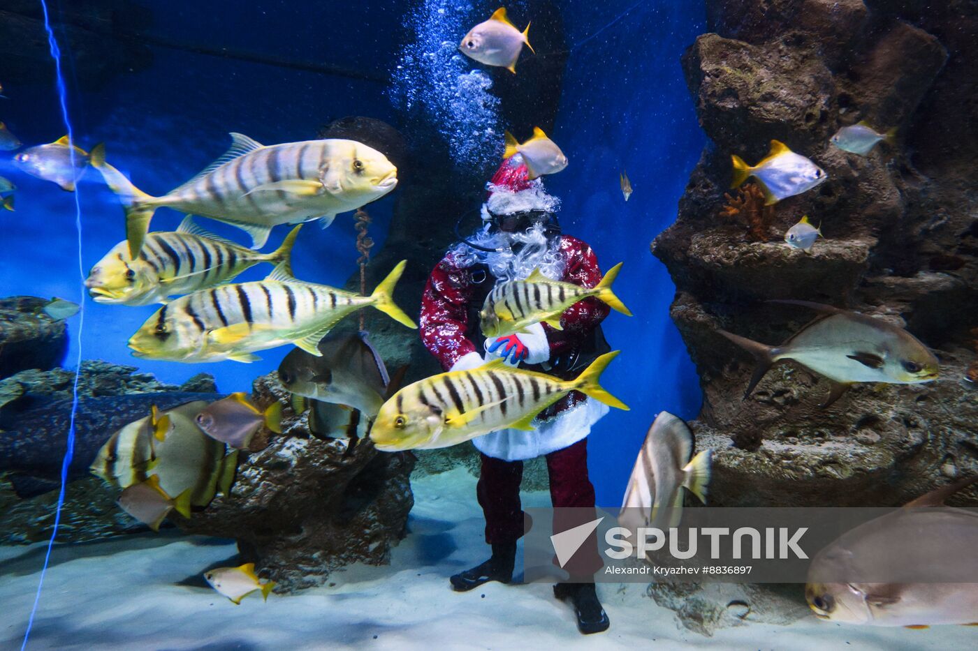 Russia New Year Season Santa Diver