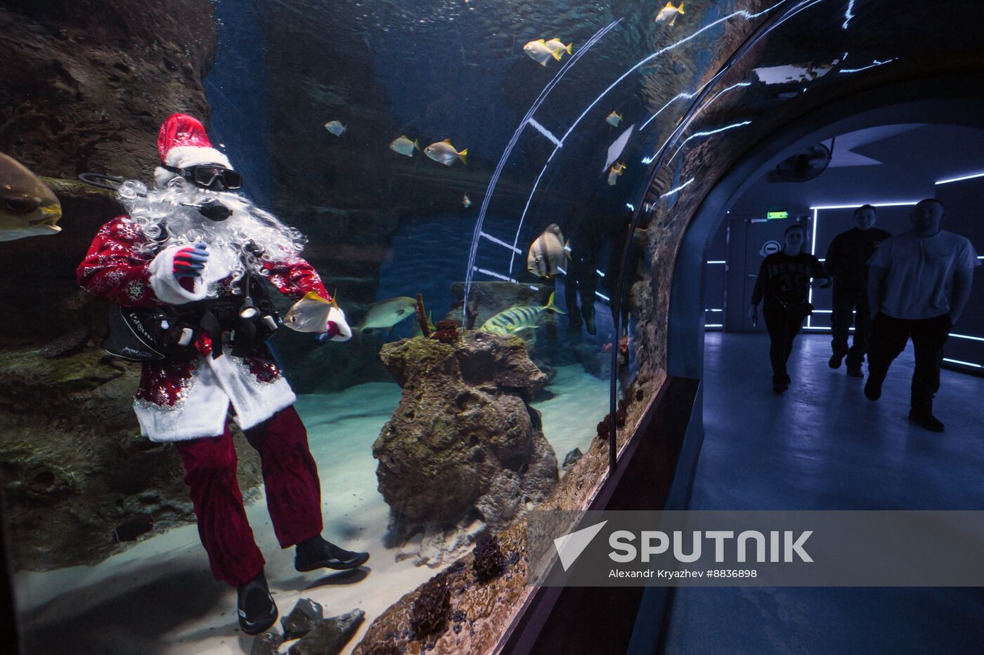 Russia New Year Season Santa Diver