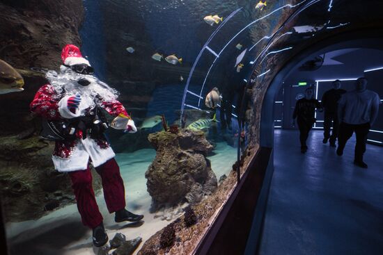 Russia New Year Season Santa Diver