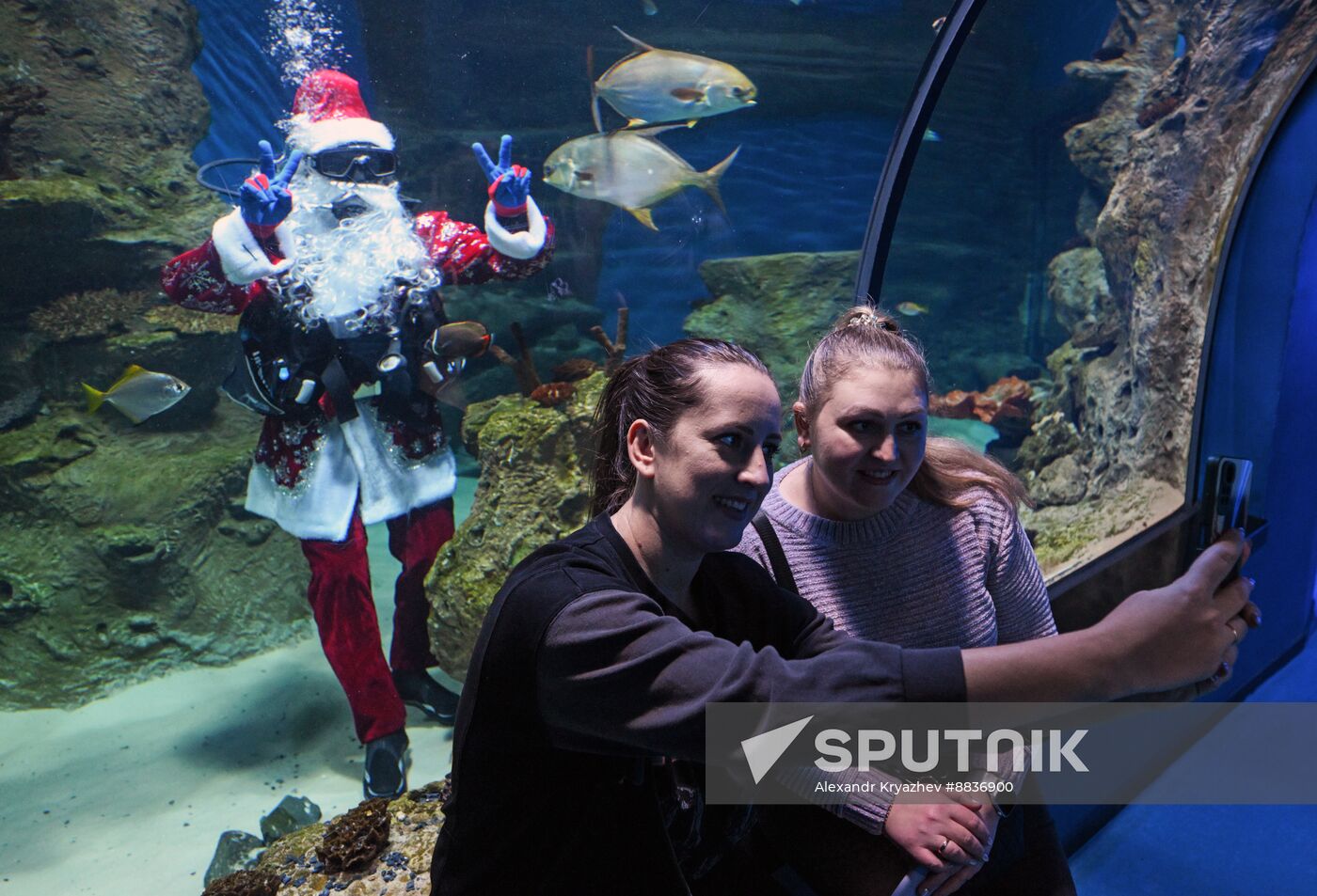 Russia New Year Season Santa Diver