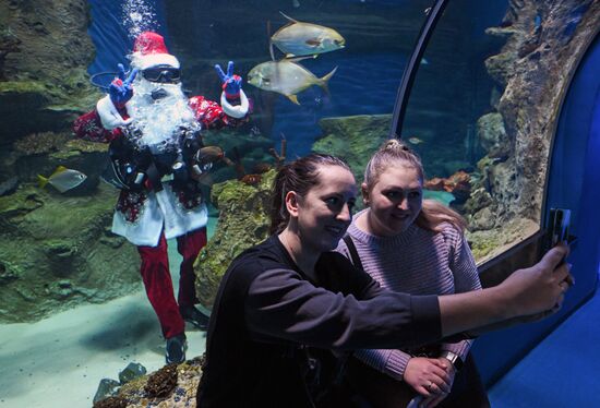 Russia New Year Season Santa Diver