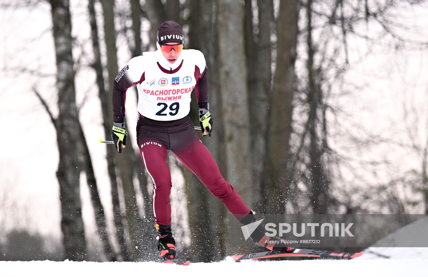 Russia Cross Country Skiing Competition