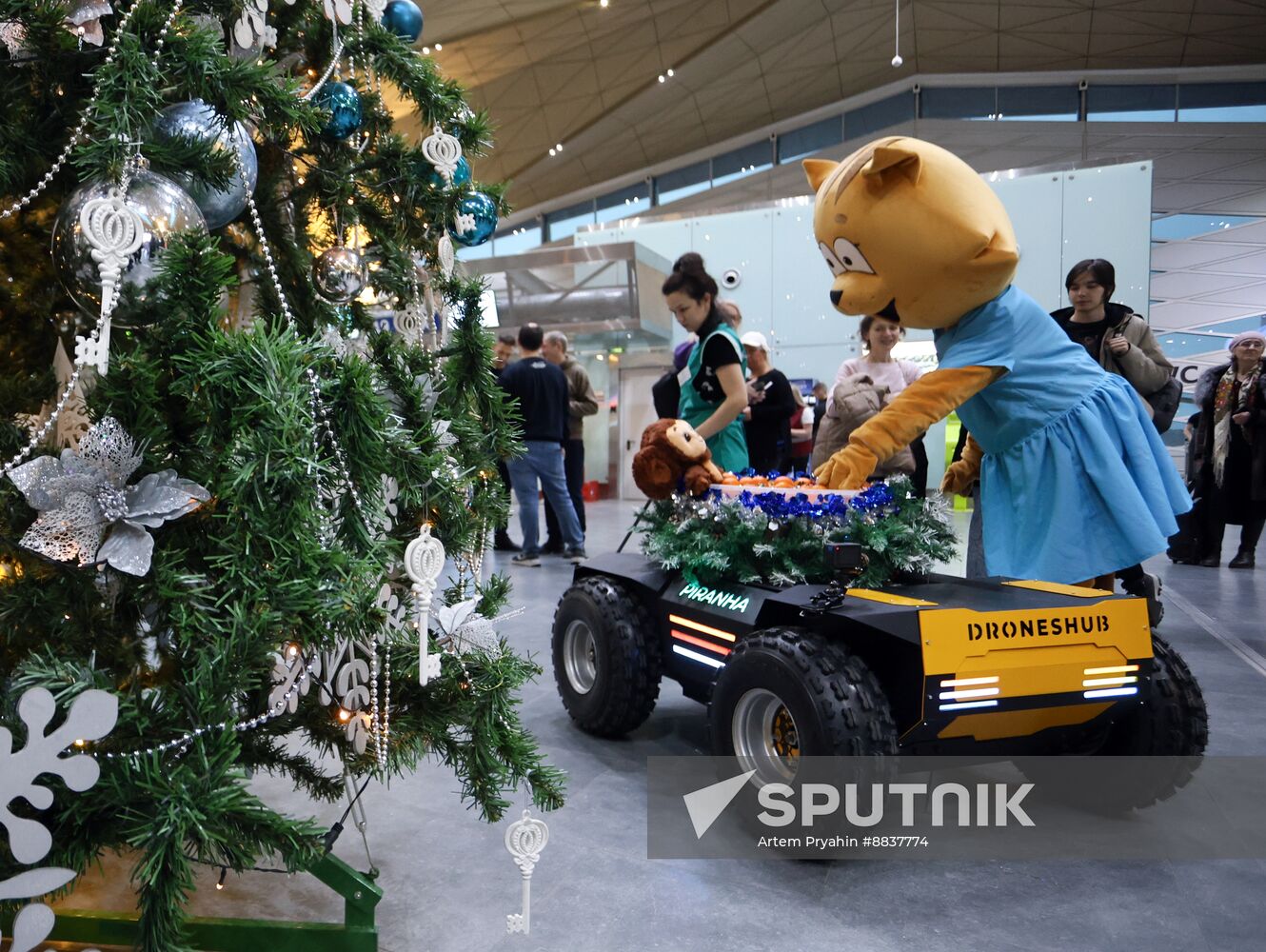 Russia New Year Season Airport