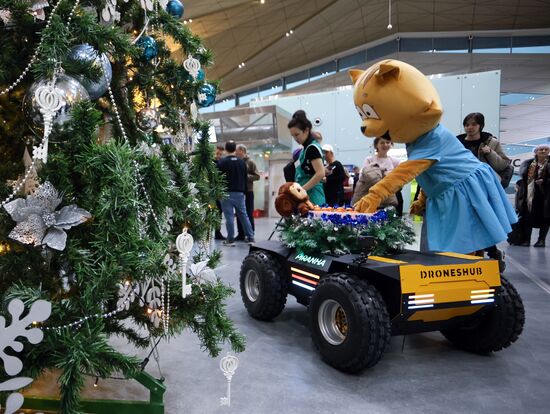 Russia New Year Season Airport