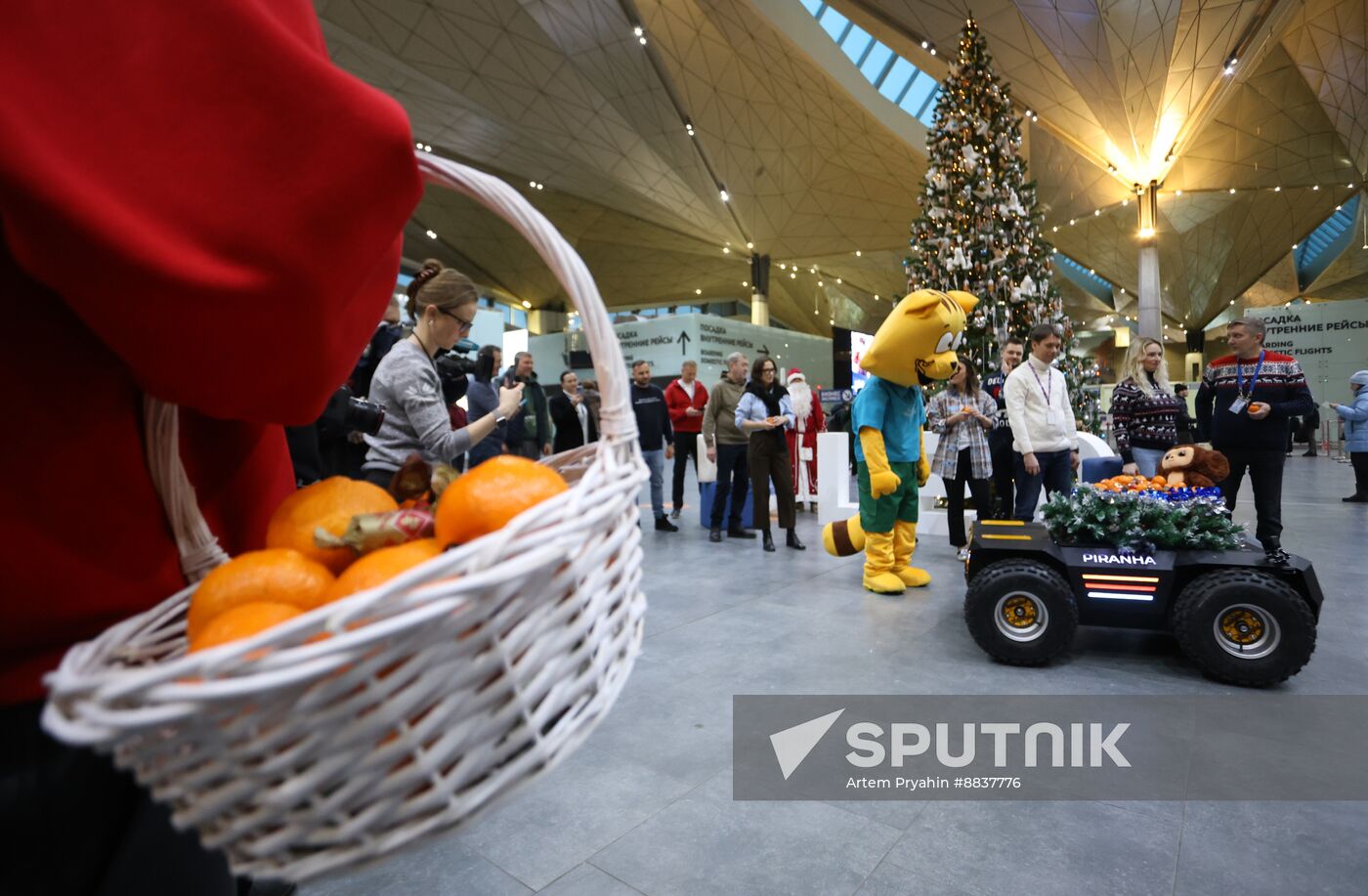 Russia New Year Season Airport