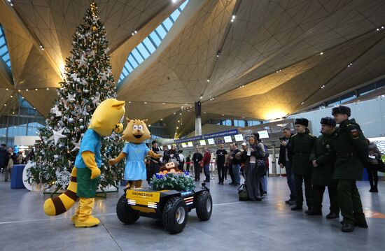 Russia New Year Season Airport