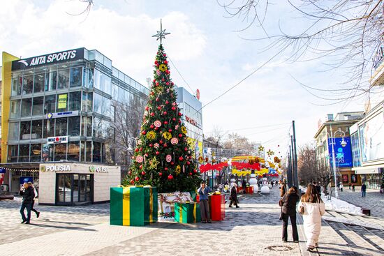 Kazakhstan New Year Season Preparations