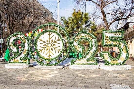 Kazakhstan New Year Season Preparations