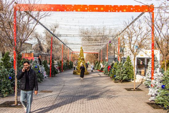 Kazakhstan New Year Season Preparations