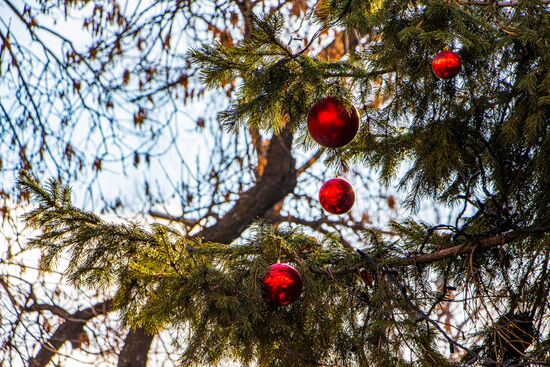 Kazakhstan New Year Season Preparations