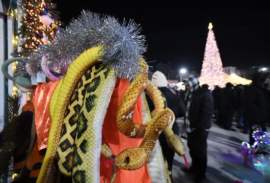 Russia New Year Celebration