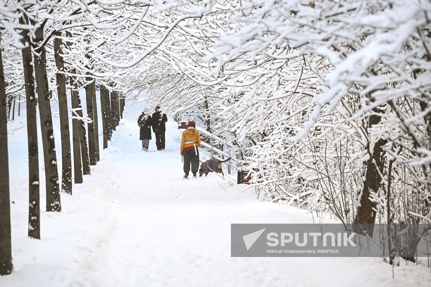 Russia Weather