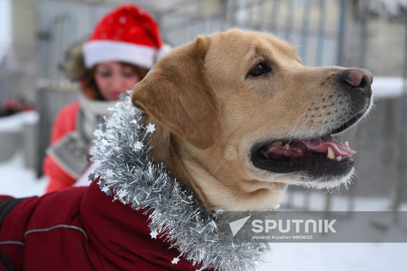 Russia New Year Season Promises Run