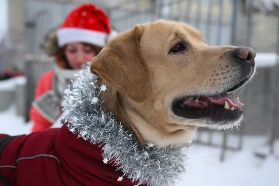 Russia New Year Season Promises Run