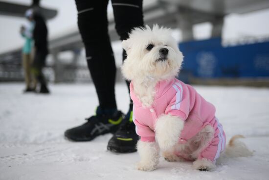 Russia New Year Season Promises Run