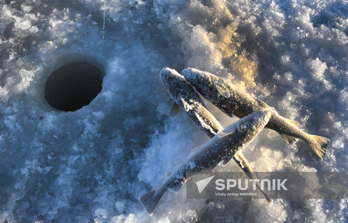 Russia Ice Fishing Festival