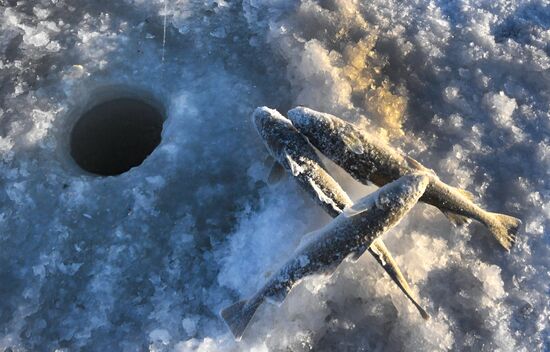 Russia Ice Fishing Festival