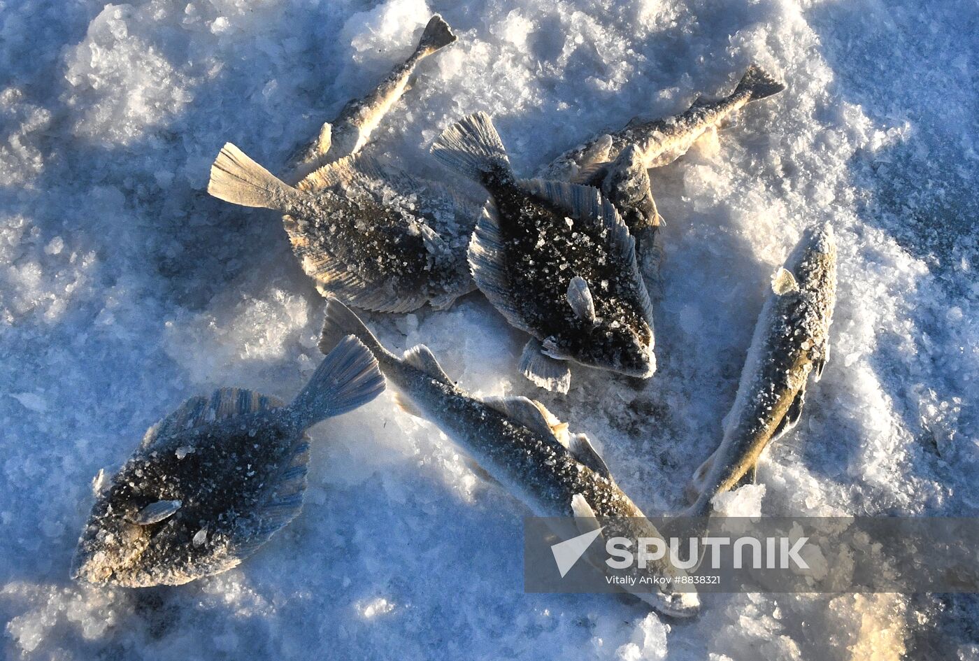 Russia Ice Fishing Festival