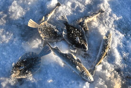 Russia Ice Fishing Festival