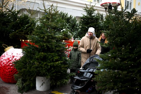 Russia New Year Season Winter Fest