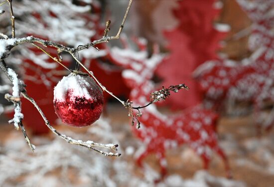 Russia New Year Season