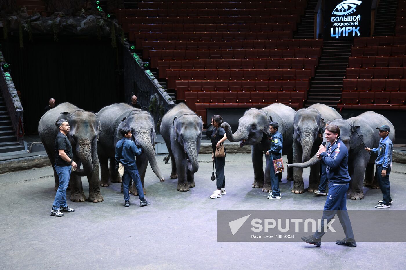 Russia Circus Elephant Calves