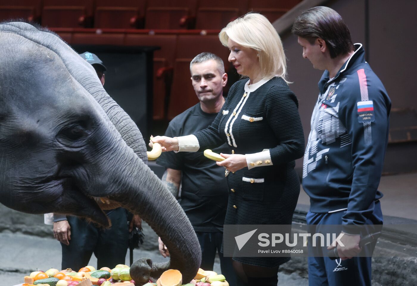 Russia Circus Elephant Calves