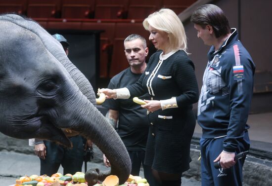 Russia Circus Elephant Calves