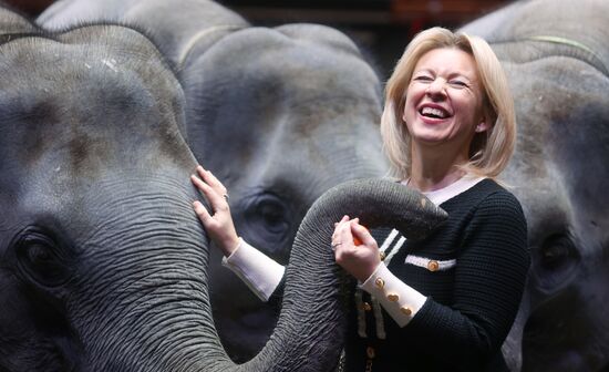 Russia Circus Elephant Calves