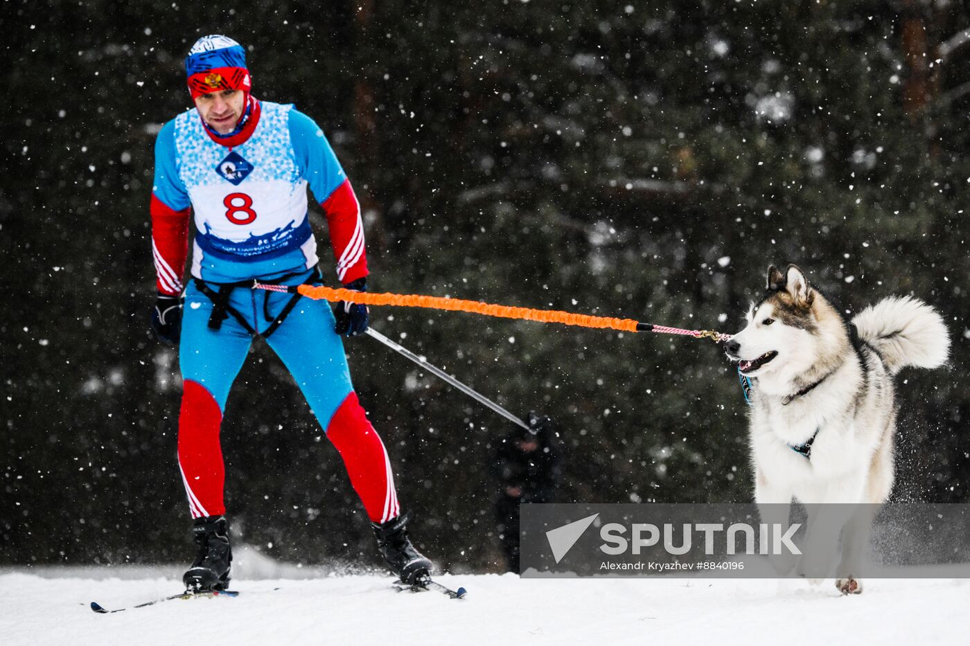 Russia Sled Dog Race