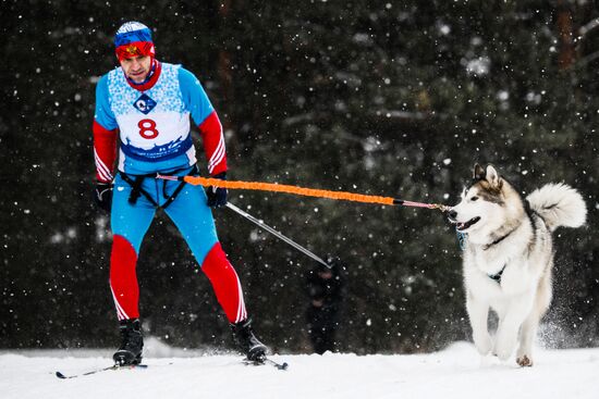 Russia Sled Dog Race