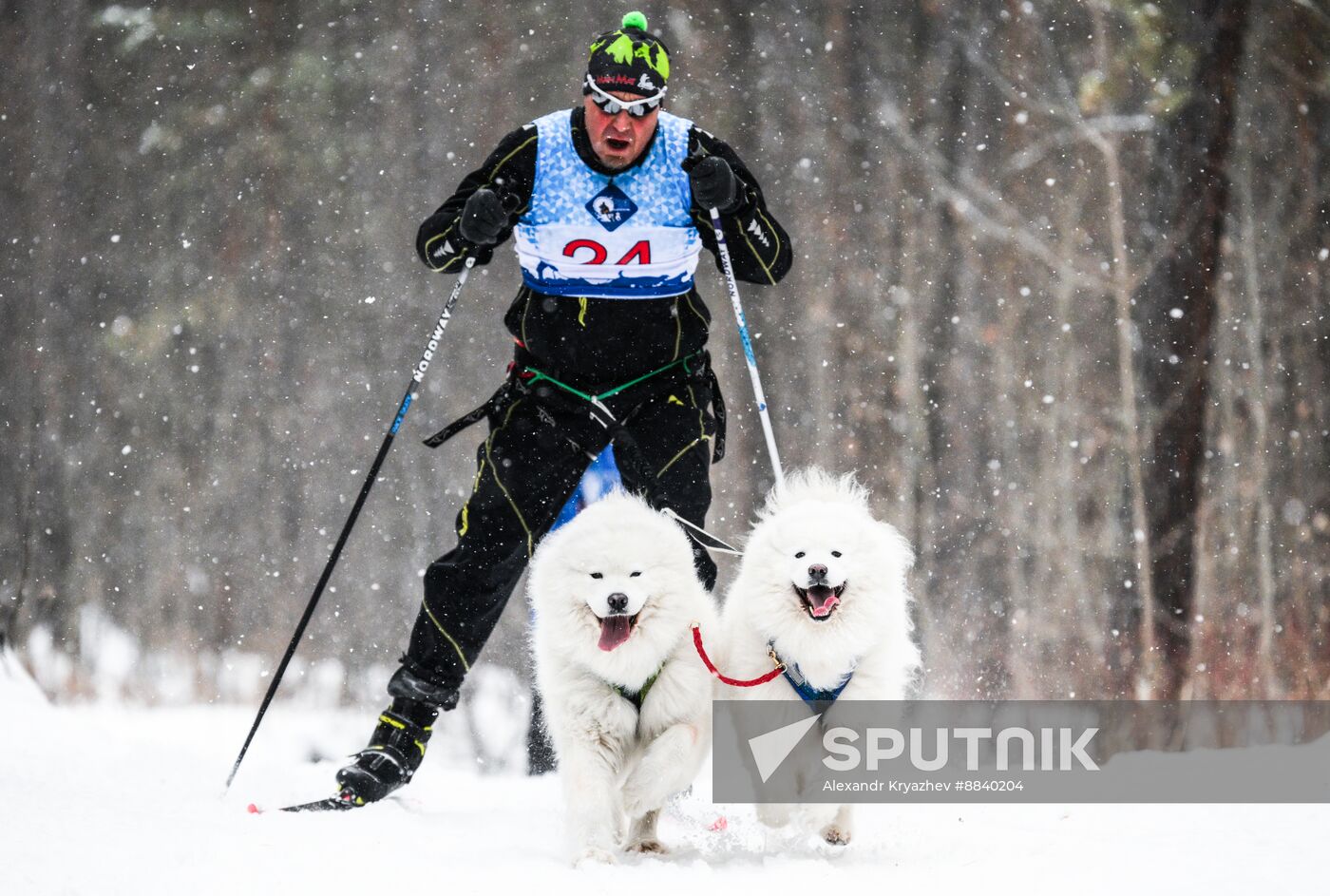 Russia Sled Dog Race