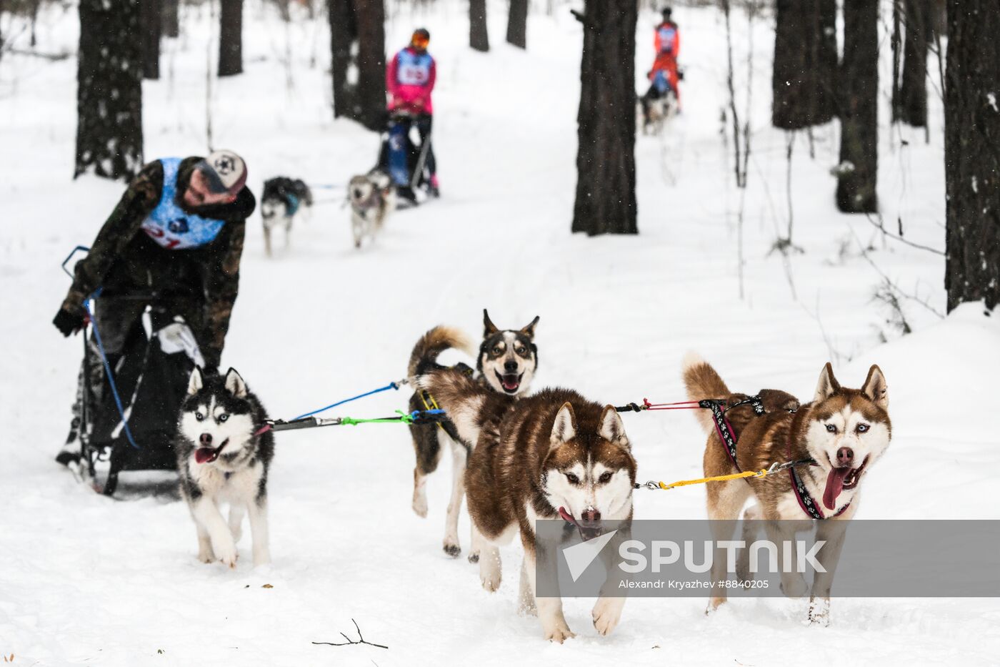 Russia Sled Dog Race