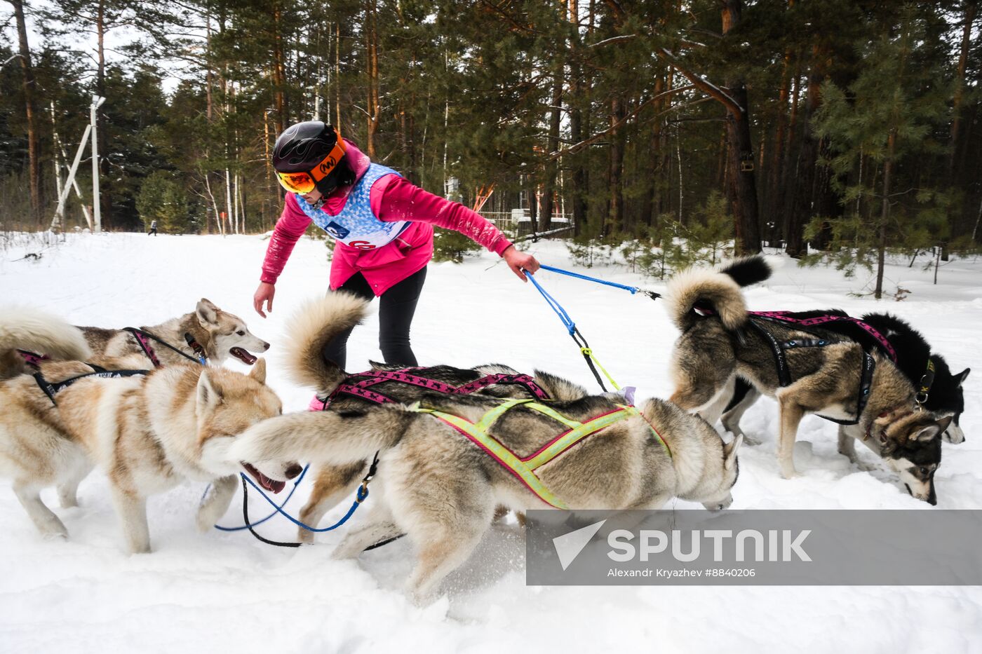 Russia Sled Dog Race