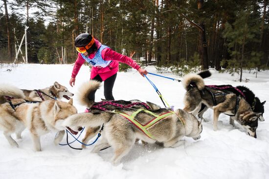 Russia Sled Dog Race