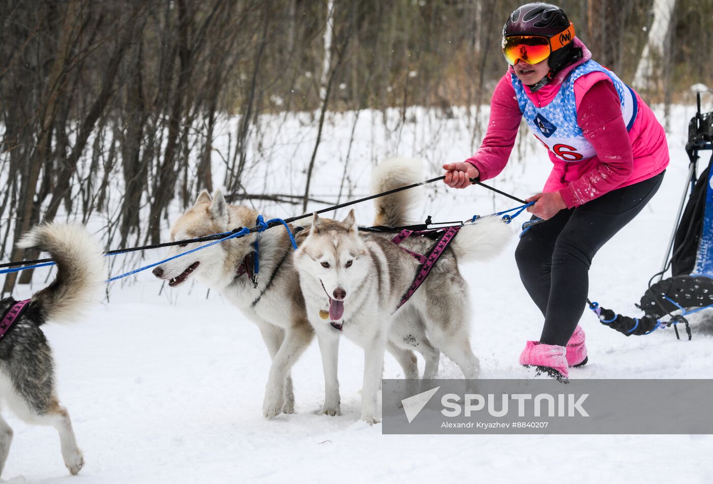 Russia Sled Dog Race