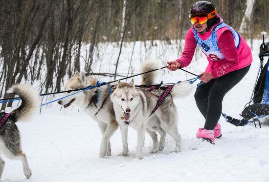 Russia Sled Dog Race