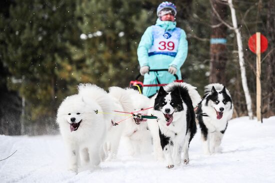 Russia Sled Dog Race