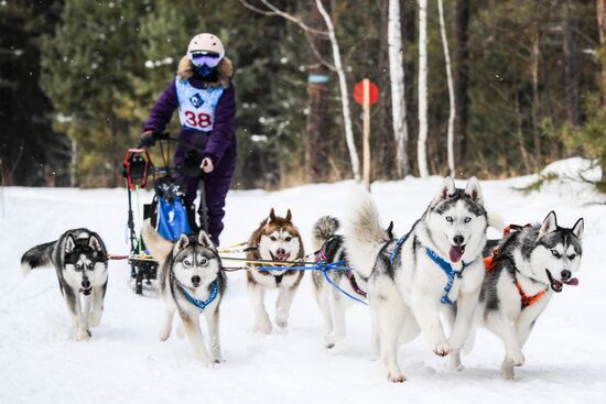 Russia Sled Dog Race