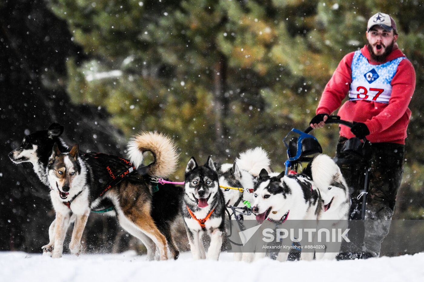 Russia Sled Dog Race