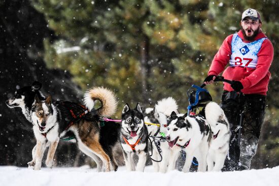 Russia Sled Dog Race