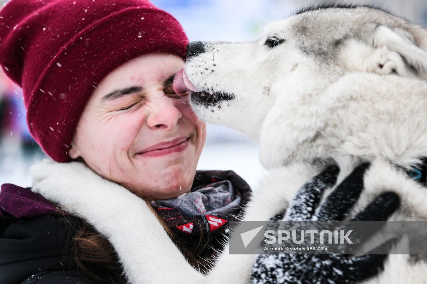 Russia Sled Dog Race